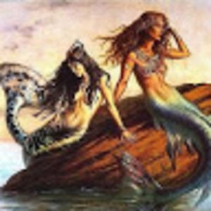 Meet your Posher, Norman